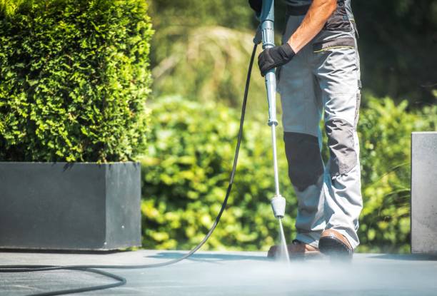 Best Solar Panel Cleaning  in Shandon, CA